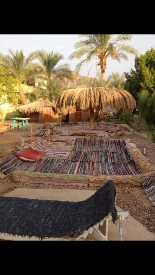 Elbadawy Camp Hotel Nuweiba Bagian luar foto