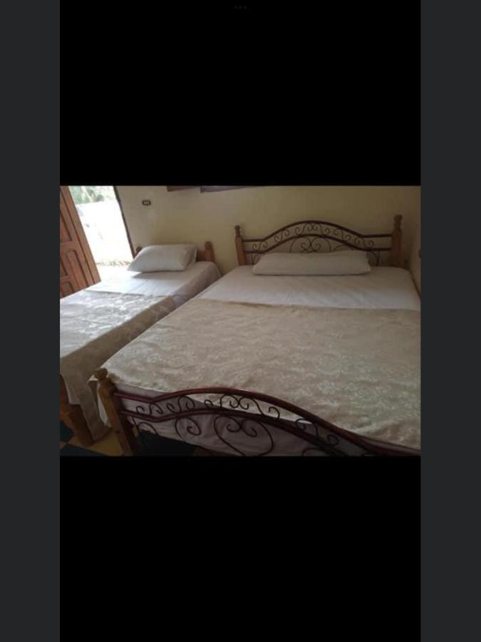 Elbadawy Camp Hotel Nuweiba Bagian luar foto