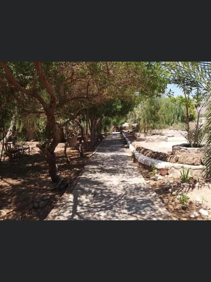 Elbadawy Camp Hotel Nuweiba Bagian luar foto
