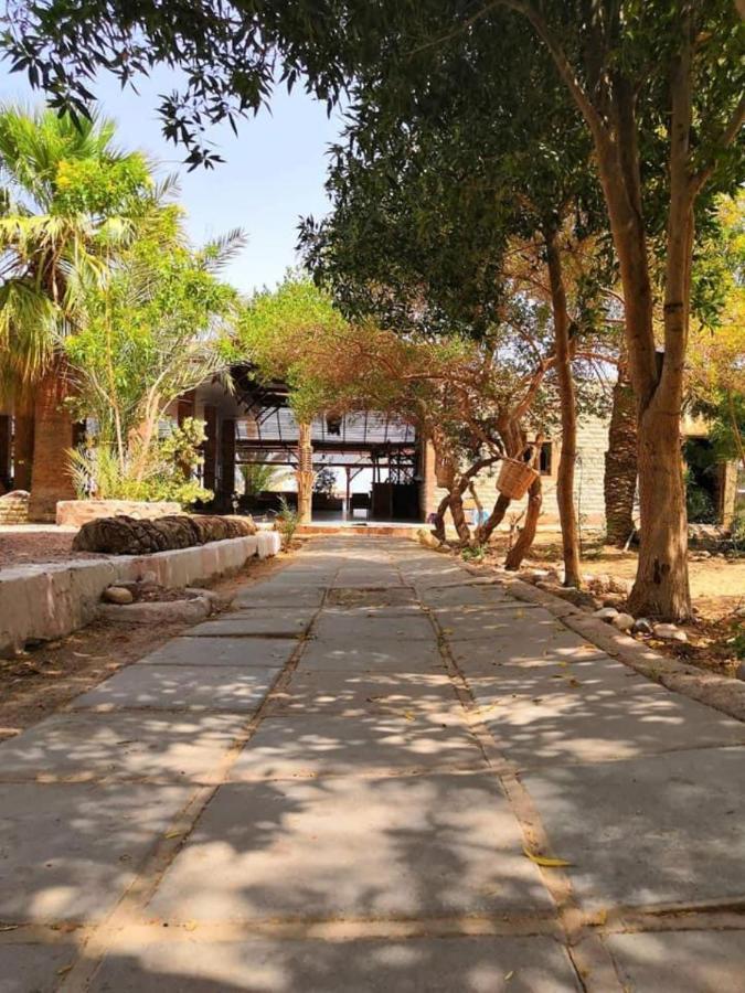 Elbadawy Camp Hotel Nuweiba Bagian luar foto