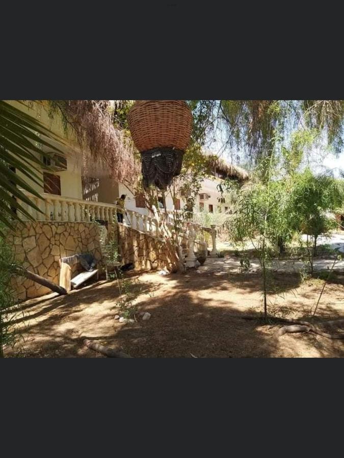 Elbadawy Camp Hotel Nuweiba Bagian luar foto