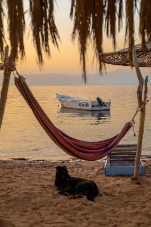 Elbadawy Camp Hotel Nuweiba Bagian luar foto
